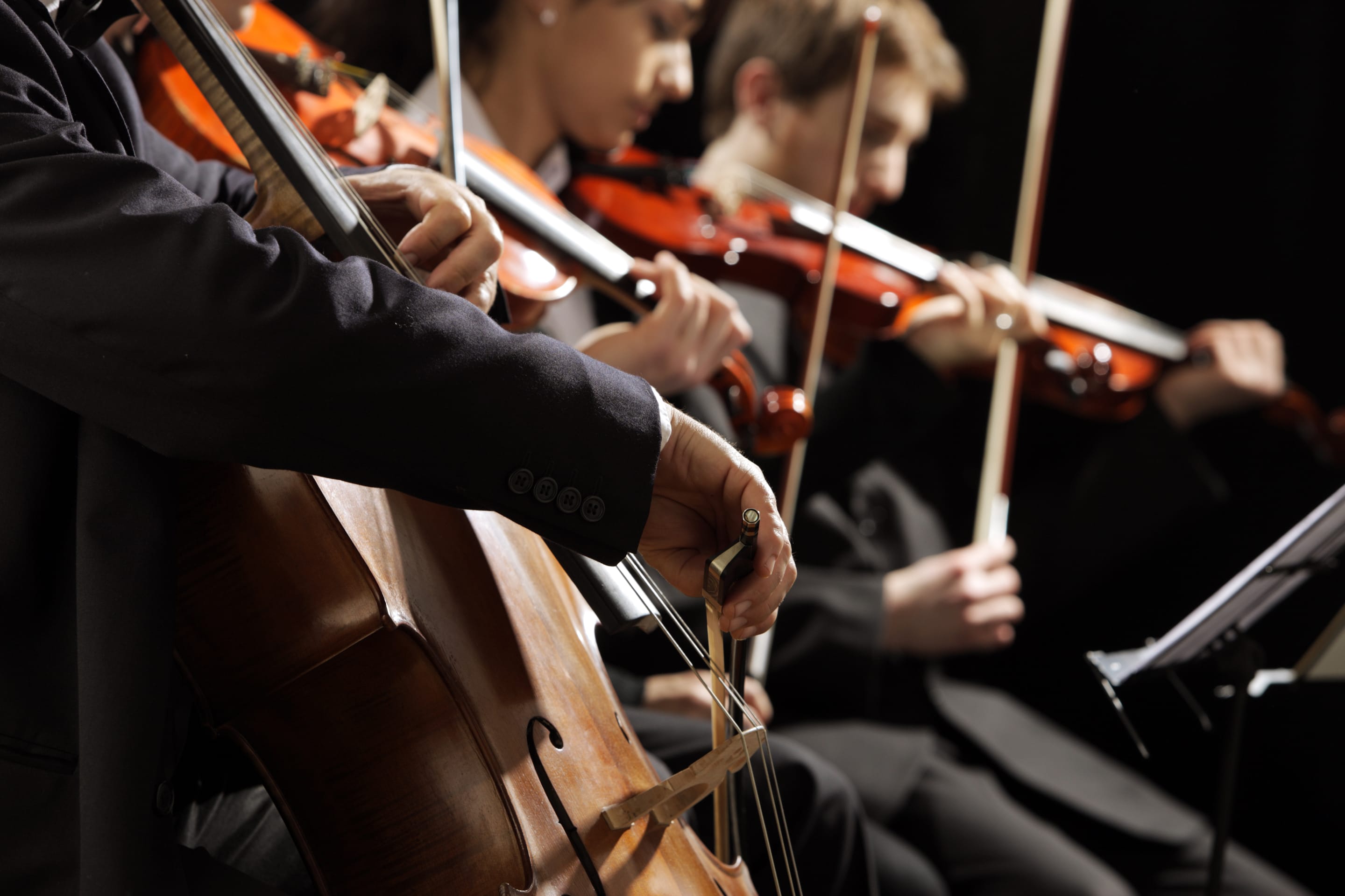 Festival Musique et Nature